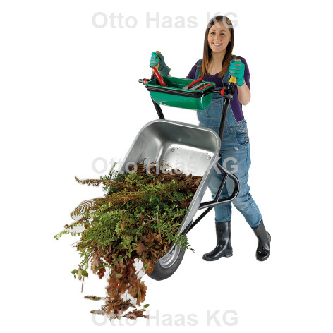 Artikelbild